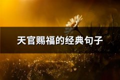 天官赐福的经典句子(102句)