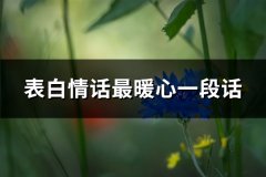 表白情话最暖心一段话(精选34句)
