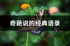 奇葩说的经典语录(通用76句)