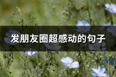 发朋友圈超感动的句子(优选66句)