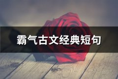 霸气古文经典短句(热门49句)