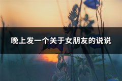 晚上发一个关于女朋友的说说(共76句)