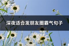 深夜适合发朋友圈霸气句子(汇总66句)