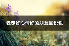 表示好心情好的朋友圈说说(汇总56句)