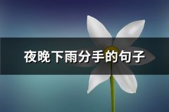 夜晚下雨分手的句子(共51句)