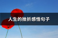 人生的挫折感悟句子(共71句)