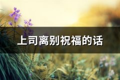 上司离别祝福的话(汇总58句)