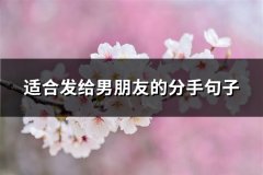 适合发给男朋友的分手句子(实用65句)