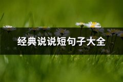 经典说说短句子大全(推荐65句)