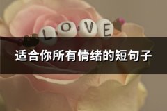 适合你所有情绪的短句子(68句)