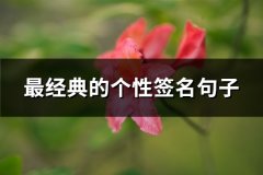 最经典的个性签名句子(汇总65句)