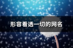 形容看透一切的网名(精选249个)