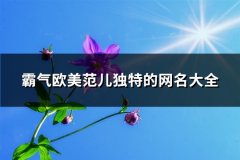 霸气欧美范儿独特的网名大全(优选112个)
