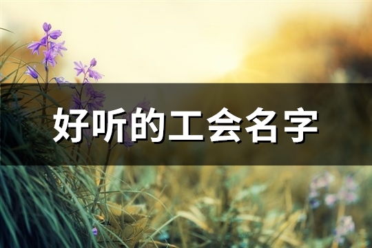 好听的工会名字(精选195个) 好听的工会名字霸气英文