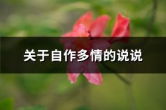 关于自作多情的说说
