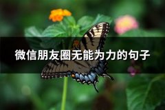 微信朋友圈无能为力的句子(推荐66句)