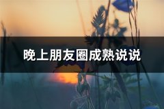 晚上朋友圈成熟说说(优选66句)
