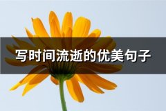 写时间流逝的优美句子(实用65句)
