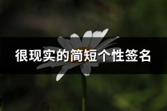 很现实的简短个性签名(汇总66句)