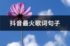 抖音最火歌词句子(必备66句)
