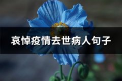 哀悼疫情去世病人句子(通用57句)
