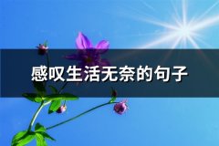 感叹生活无奈的句子(热门66句)