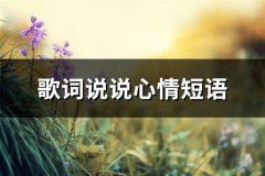 歌词说说心情短语(实用42句)