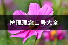 护理理念口号大全(必备43句)