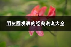 朋友圈发表的经典说说大全(66句)