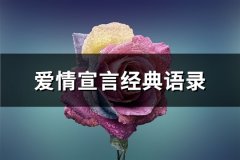 爱情宣言经典语录(汇总67句)