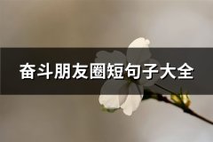 奋斗朋友圈短句子大全(共66句)