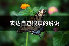 表达自己很烦的说说(必备67句)
