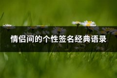 情侣间的个性签名经典语录(精选66句)