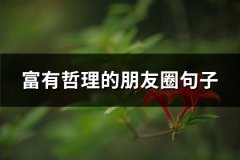 富有哲理的朋友圈句子(实用55句)
