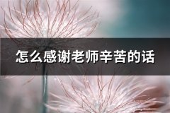 怎么感谢老师辛苦的话(精选65句)