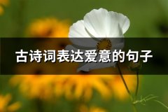 古诗词表达爱意的句子(精选34句)