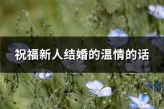 祝福新人结婚的温情的话(推荐66句)