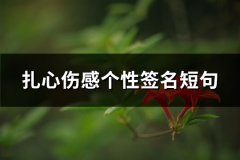 扎心伤感个性签名短句(推荐66句)