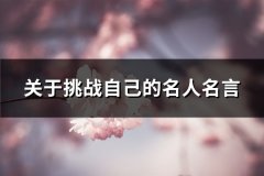 关于挑战自己的名人名言(共43句)