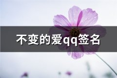不变的爱qq签名(精选60句)