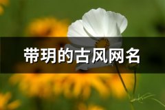 带玥的古风网名(优选63个)