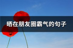 晒在朋友圈霸气的句子(共78句)