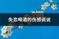 失恋喝酒的伤感说说(通用58句)
