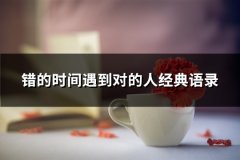 错的时间遇到对的人经典语录(汇总63句)