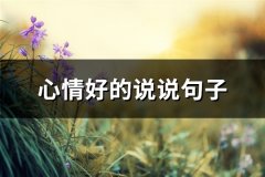 心情好的说说句子(必备75句)