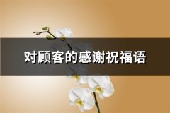 对顾客的感谢祝福语(共62句)