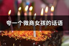 夸一个微商女孩的话语(59句)