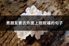 男朋友要去外面上班祝福的句子(共84句)