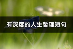 有深度的人生哲理短句(共67句)