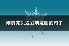刚剪完头发发朋友圈的句子(68句)